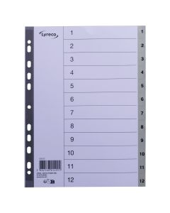 Lyreco välilehti 12-osainen PP A4