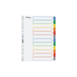 Lyreco mylar välilehti 12-osainen a4 muovikieleke