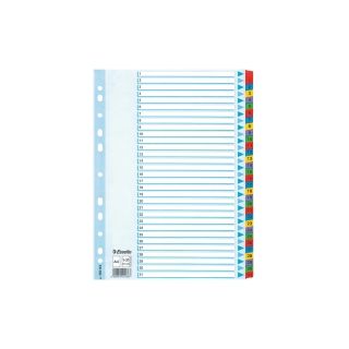 Esselte mylar hakemisto a4 1-31 muovikieli