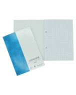 Luentolehtiö a5/100 ruudutettu 7x7mm